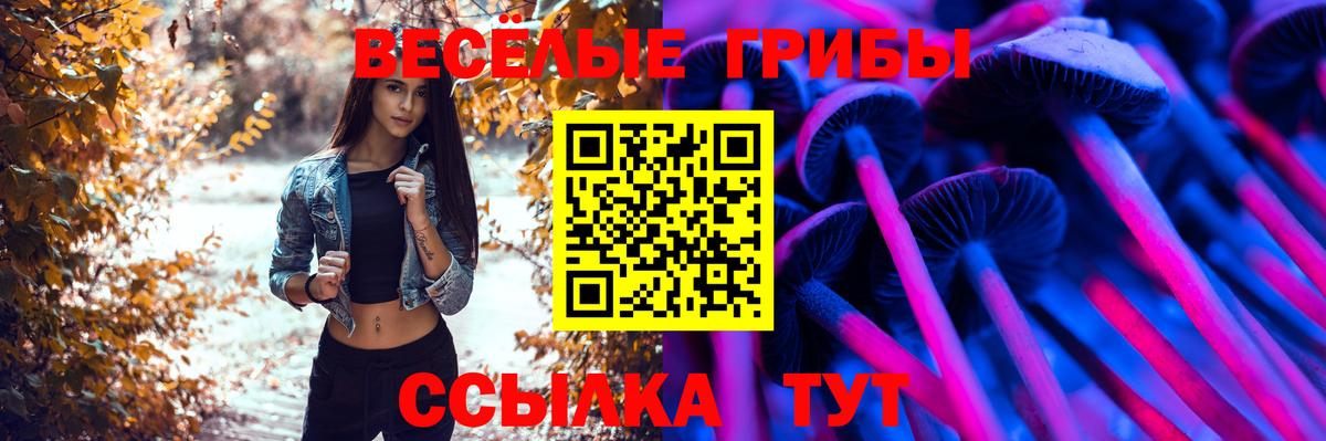 Белореченск  Псилоцибиновые грибы Psilocybine cubensis  Вход с VPN  Псилоцибиновые грибы Psilocybe 